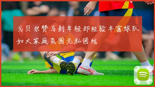 戈贝尔赞马刺年轻却经验丰富球队如大家庭氛围无私团结