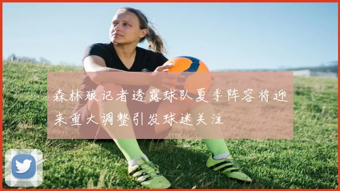 森林狼记者透露球队夏季阵容将迎来重大调整引发球迷关注