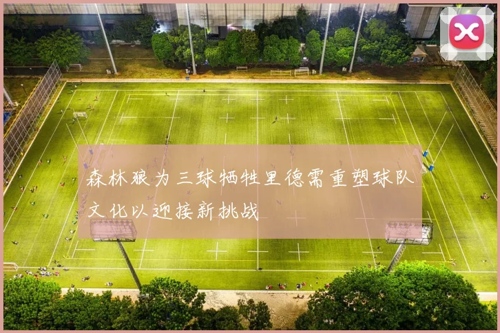 森林狼为三球牺牲里德需重塑球队文化以迎接新挑战