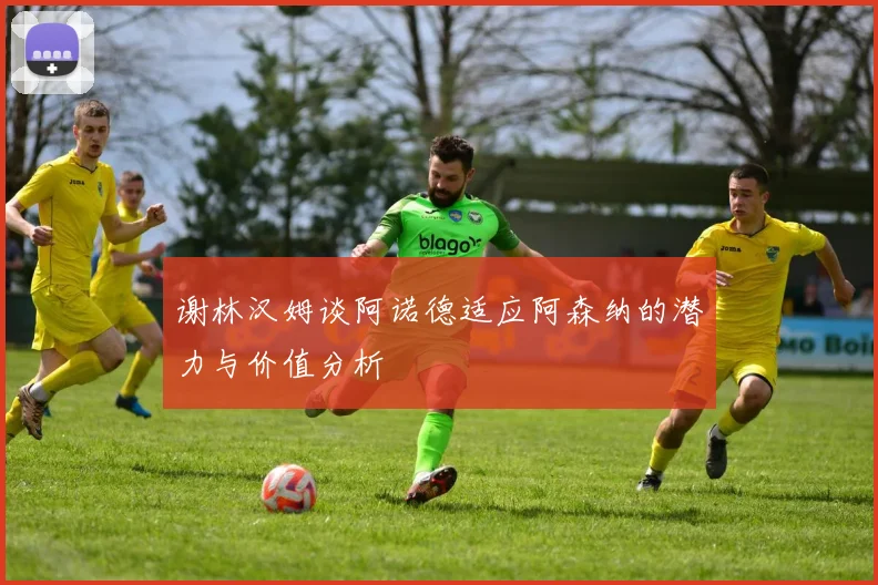 谢林汉姆谈阿诺德适应阿森纳的潜力与价值分析